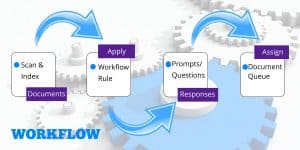 Document Management Workflow